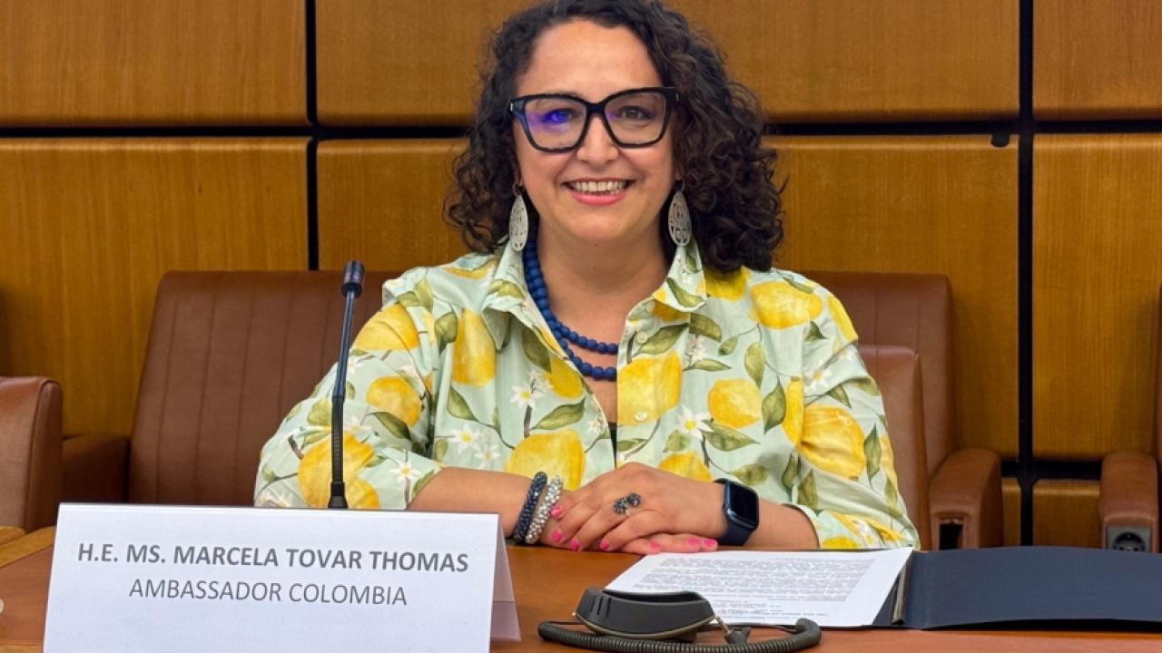 Marcela Tovar Thomas