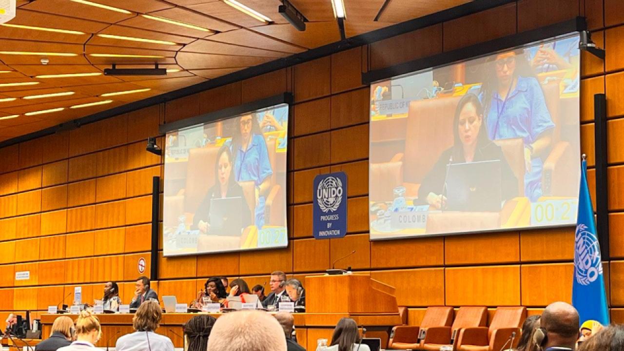 Colombia participa en la 42.ª sesión del Comité de Programa y Presupuesto de la ONUDI