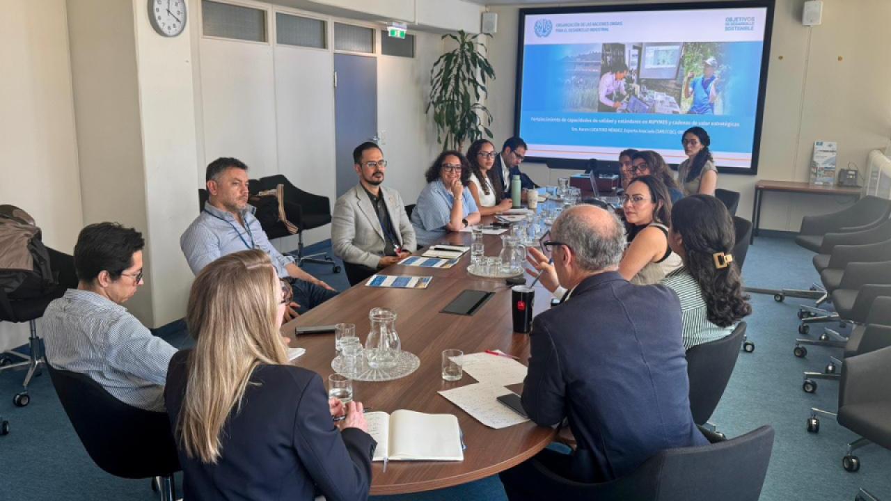 Misión Permanente de Colombia en Viena sostiene reunión con el Buró para América Latina y el Caribe de ONUDI
